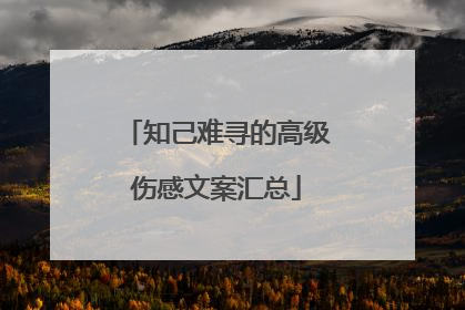知己难寻的高级伤感文案汇总