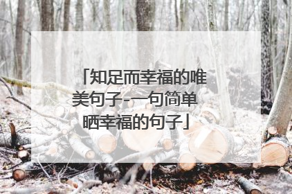 知足而幸福的唯美句子-一句简单晒幸福的句子