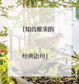 知音难求的经典语句