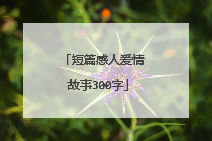 短篇感人爱情故事300字