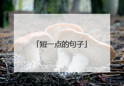 短一点的句子