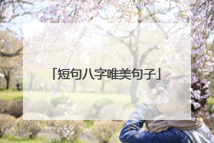 短句八字唯美句子
