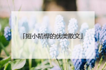 短小精悍的优美散文
