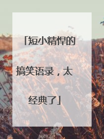 短小精悍的搞笑语录,太经典了