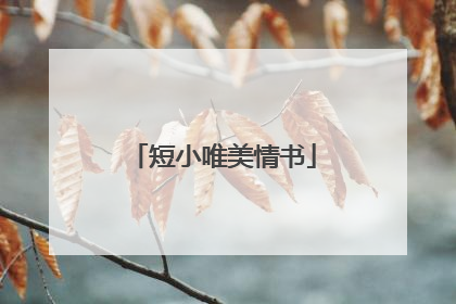 短小唯美情书