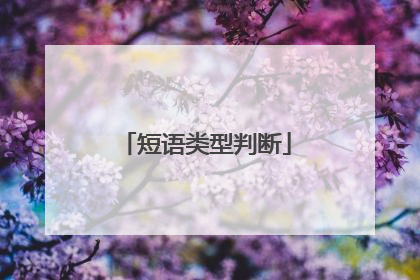 短语类型判断