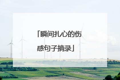 瞬间扎心的伤感句子摘录