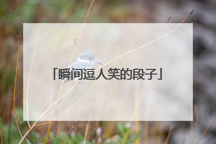 瞬间逗人笑的段子