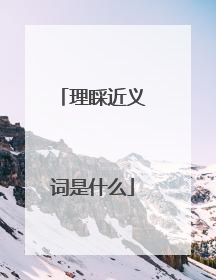 理睬近义词是什么