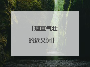 理直气壮的近义词