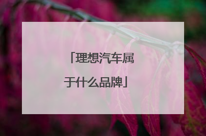 理想汽车属于什么品牌