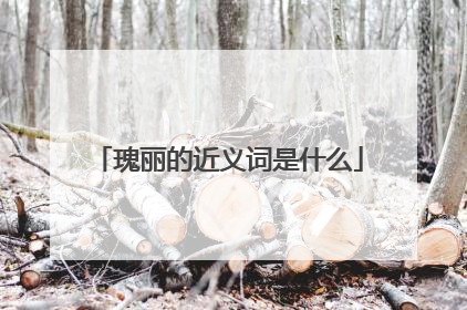 瑰丽的近义词是什么