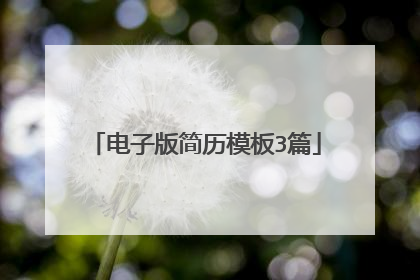 电子版简历模板3篇