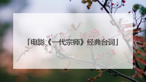 电影《一代宗师》经典台词