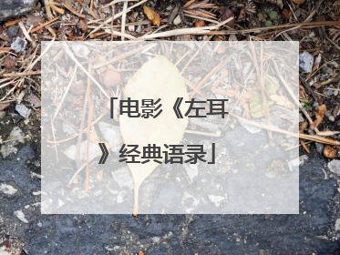 电影《左耳》经典语录