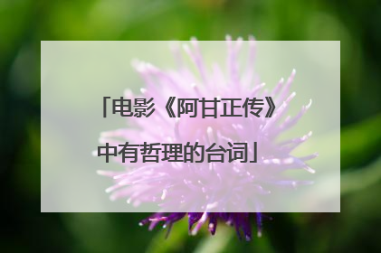 电影《阿甘正传》中有哲理的台词