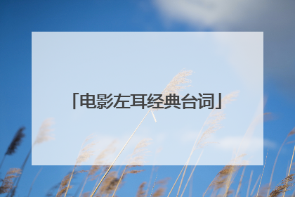 电影左耳经典台词