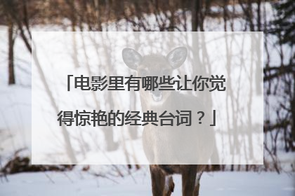 电影里有哪些让你觉得惊艳的经典台词？