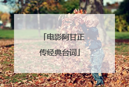 电影阿甘正传经典台词