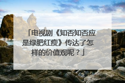 电视剧《知否知否应是绿肥红瘦》传达了怎样的价值观呢?