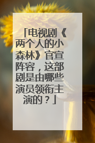 电视剧《两个人的小森林》官宣阵容，这部剧是由哪些演员领衔主演的？