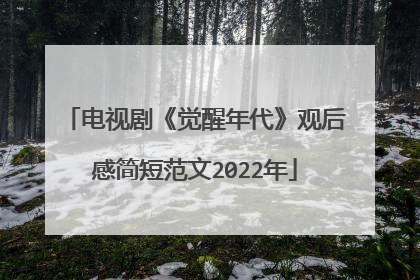 电视剧《觉醒年代》观后感简短范文2022年