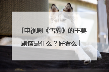 电视剧《雪豹》的主要剧情是什么？好看么