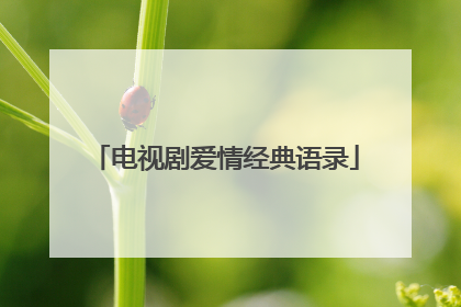 电视剧爱情经典语录