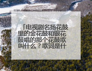 电视剧名扬花鼓里的金花鼓和银花鼓唱的那个花鼓歌叫什么?歌词是什么呀?