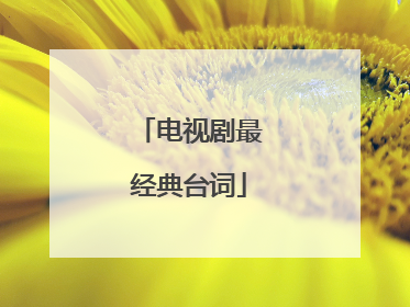 电视剧最经典台词