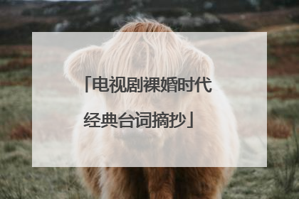 电视剧裸婚时代经典台词摘抄