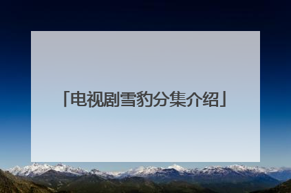 电视剧雪豹分集介绍