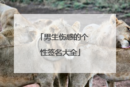 男生伤感的个性签名大全