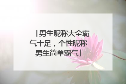 男生昵称大全霸气十足，个性昵称男生简单霸气