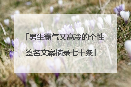 男生霸气又高冷的个性签名文案摘录七十条