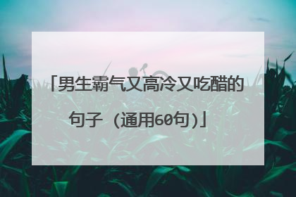 男生霸气又高冷又吃醋的句子 (通用60句)