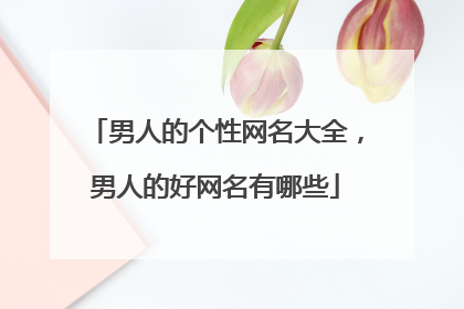 男人的个性网名大全,男人的好网名有哪些
