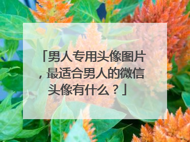 男人专用头像图片，最适合男人的微信头像有什么？