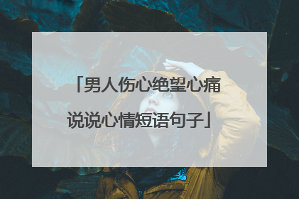 男人伤心绝望心痛说说心情短语句子
