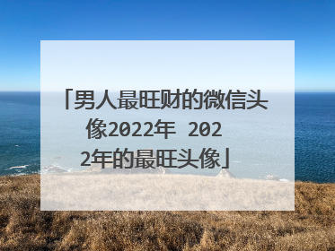 男人最旺财的微信头像2022年 2022年的最旺头像
