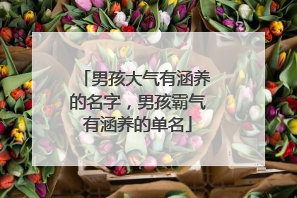男孩大气有涵养的名字，男孩霸气有涵养的单名