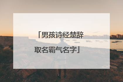 男孩诗经楚辞取名霸气名字