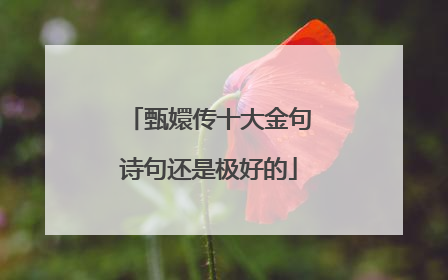 甄嬛传十大金句诗句还是极好的