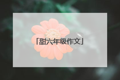 甜六年级作文