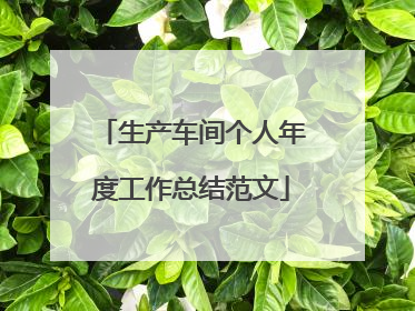 生产车间个人年度工作总结范文