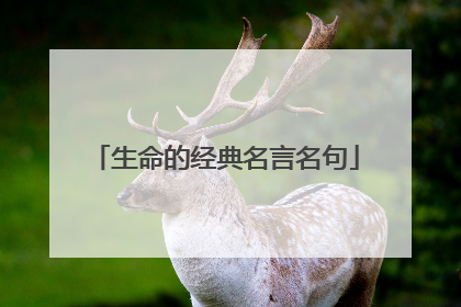 生命的经典名言名句