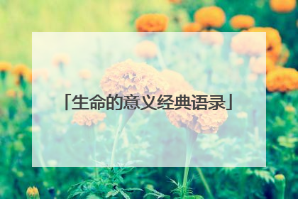生命的意义经典语录