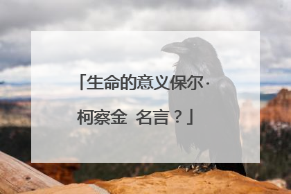 生命的意义保尔·柯察金 名言?