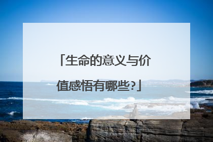 生命的意义与价值感悟有哪些?