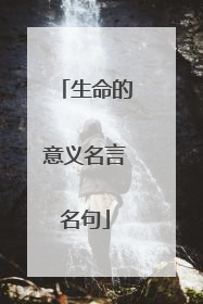 生命的意义名言名句